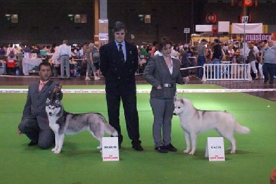 de la Perle Siberienne - championnat de france